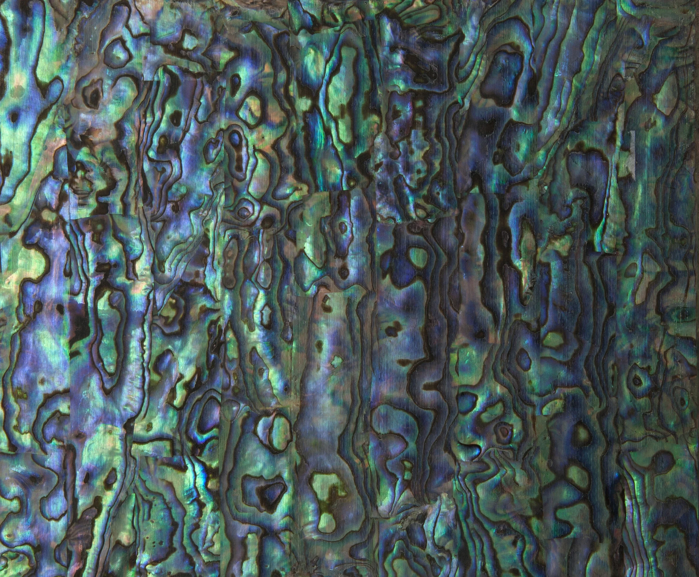 Blue Paua Abalone ZipFlex — Advanced Shell Technology